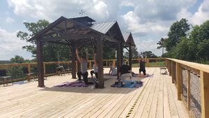 The Hillside Pavilion - Wolf Wellness Center - Holiday Island, AR